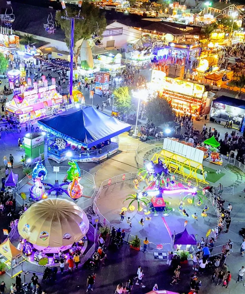 Advisering voor evenementen